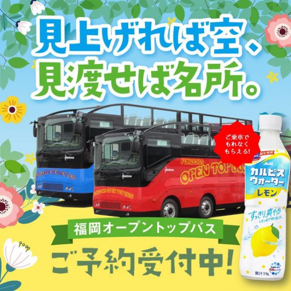 福岡オープントップバス