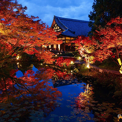 金戒光明寺