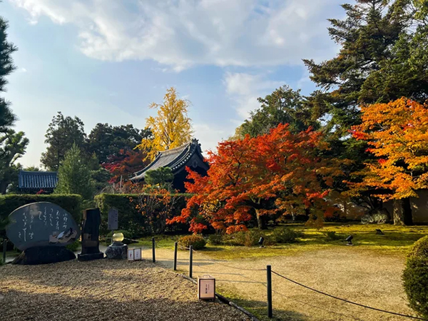 隨心院