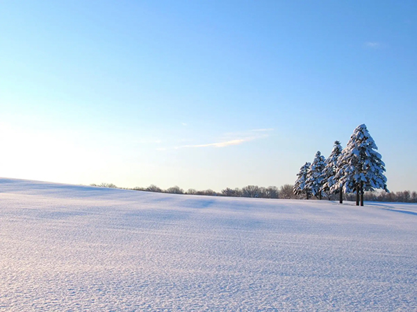 雪絶景に出合える都道府県ランキング