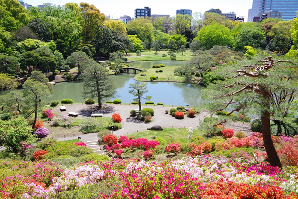 春の六義園