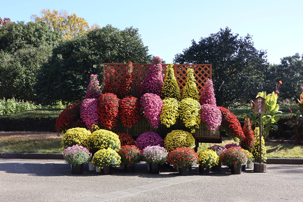 神代植物公園