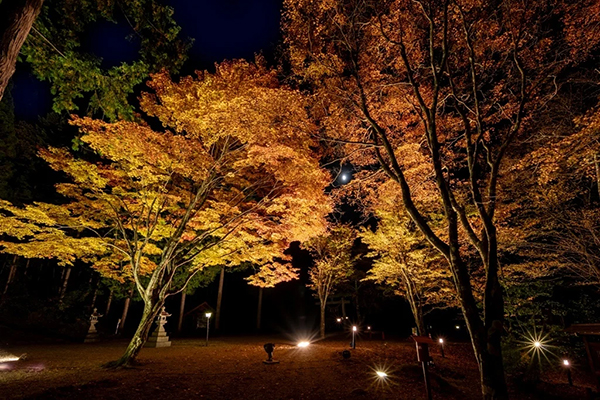 中尾高原