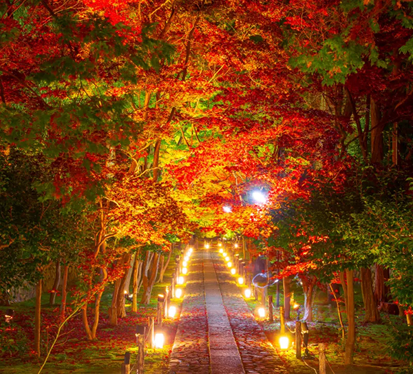 覚雄山鹿王院