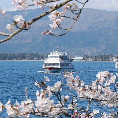 海津大崎桜クルーズ
