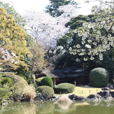 東京国立博物館
